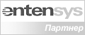 Adobe Registered Volume Channel Partner